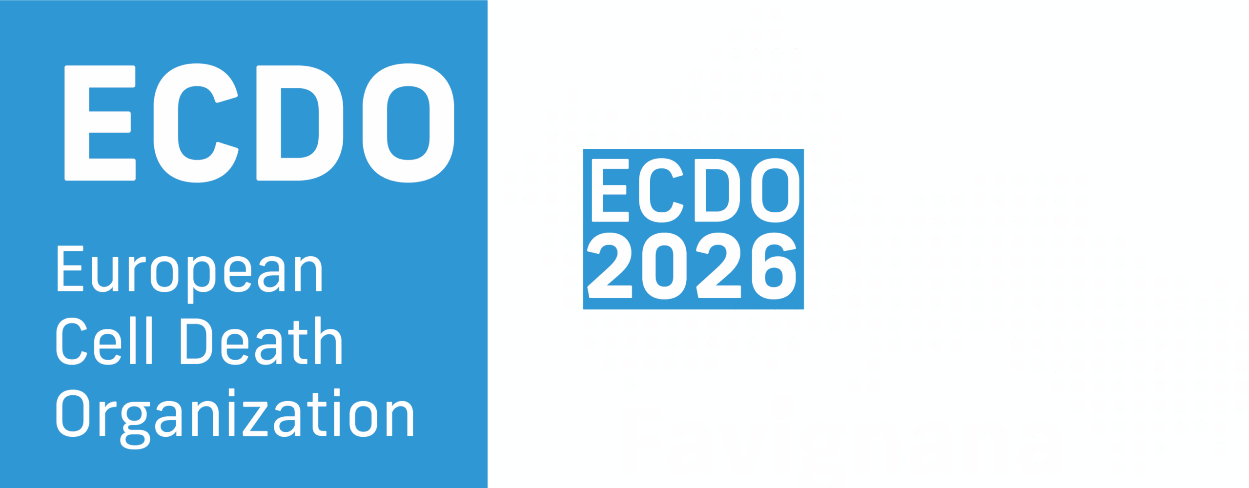 ECDO 2026 | Favignana